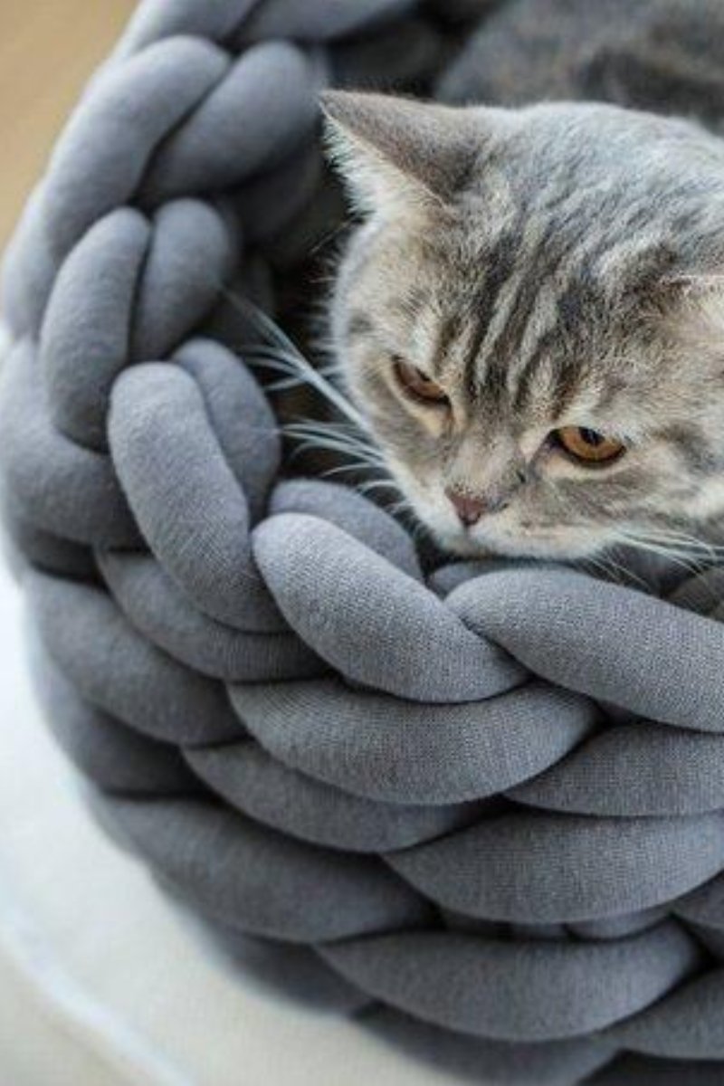 Canasta De Gato Gruesa